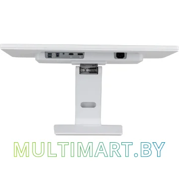 Монитор Iiyama ProLite T2452MSC-W1 картинка 7